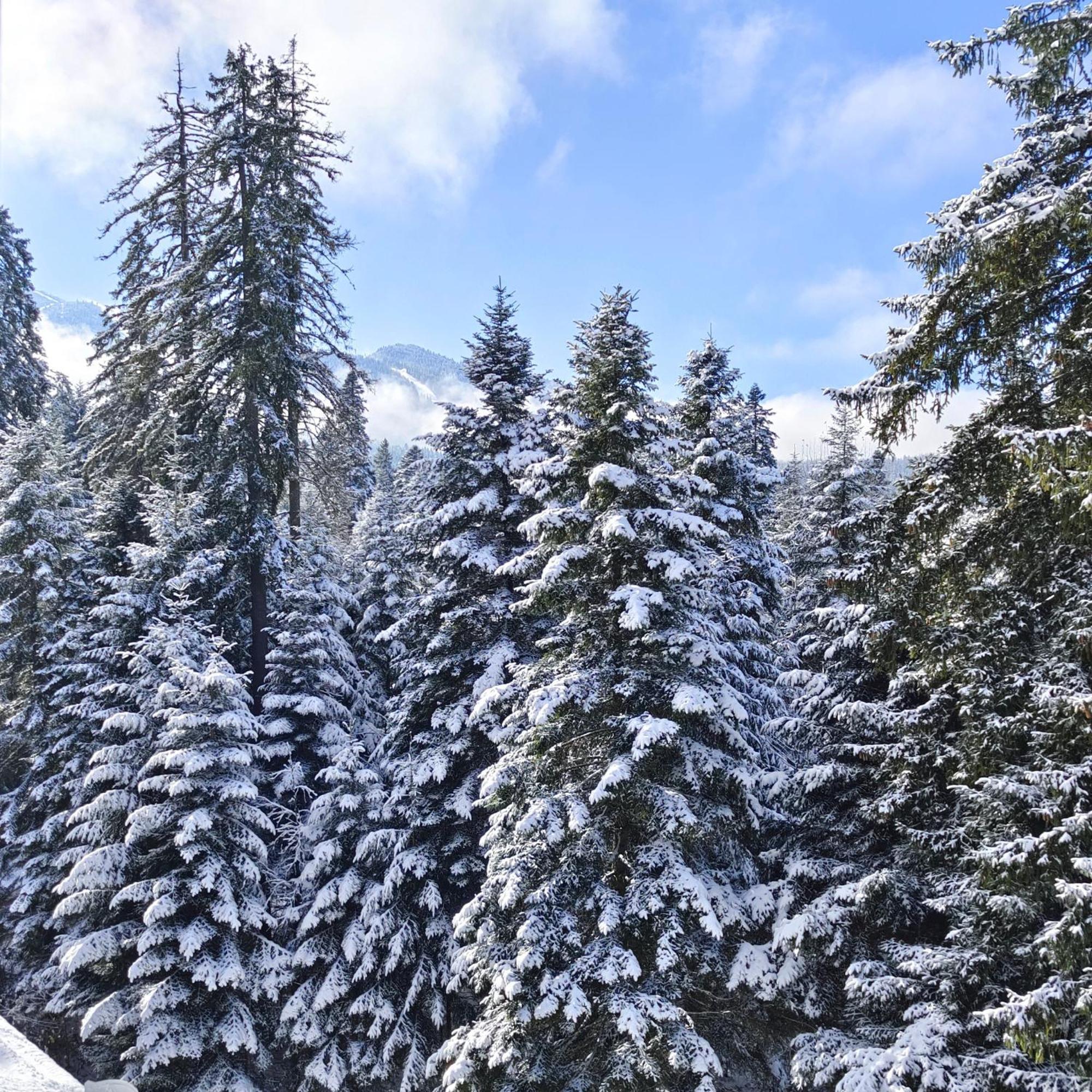 Borovets Dream Studio Ngoại thất bức ảnh